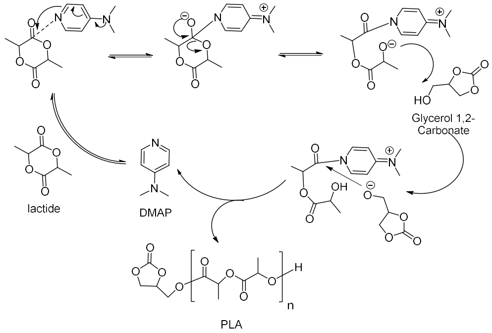 Oxonium Ion Ring-Opening Polymerization