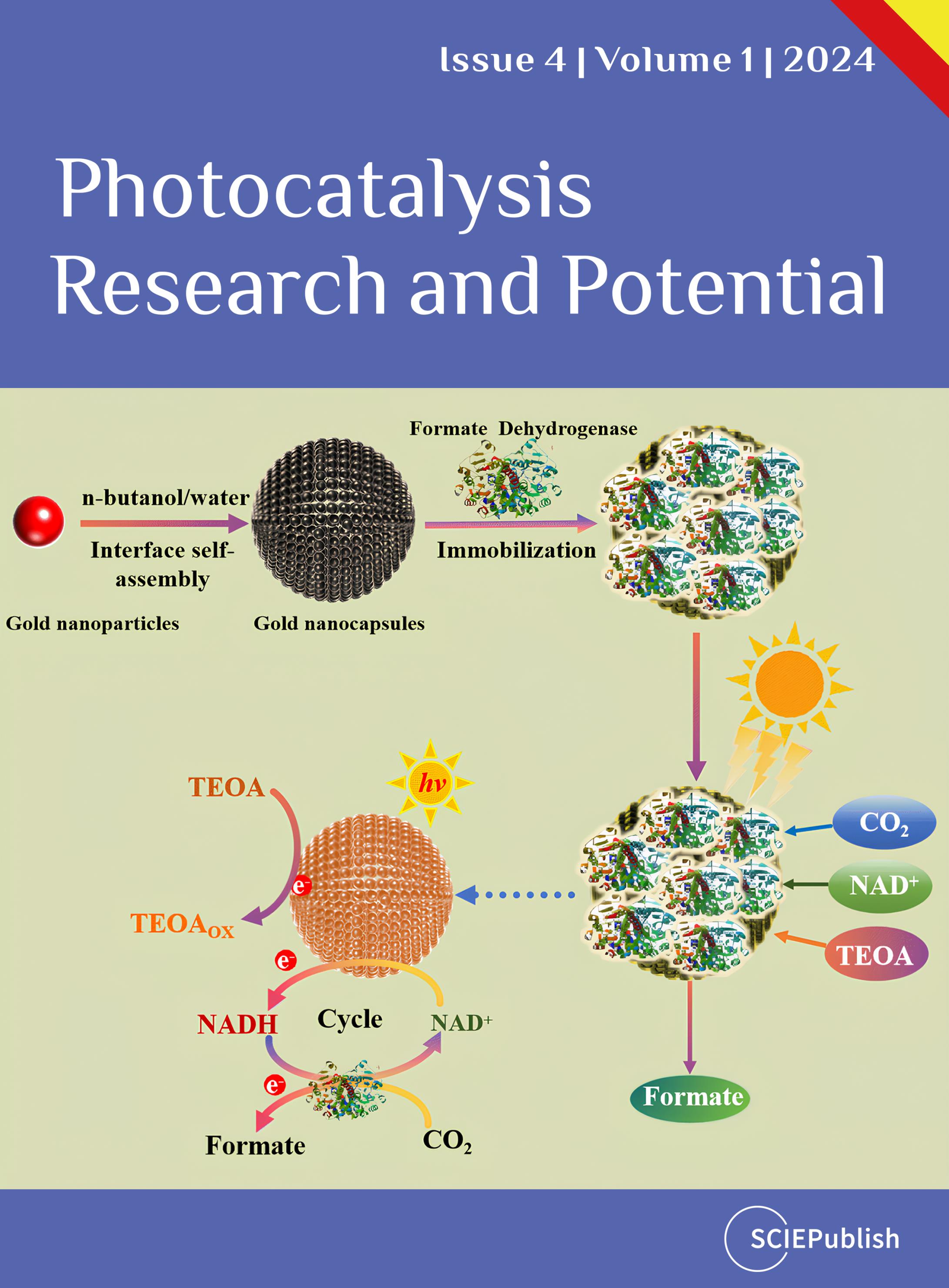 Issue Cover