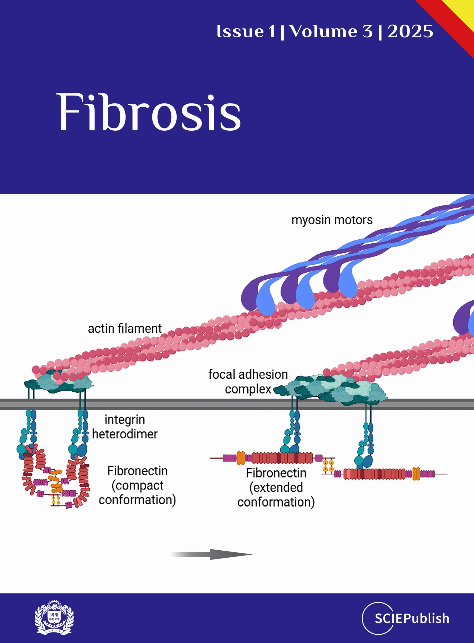 Issue Cover