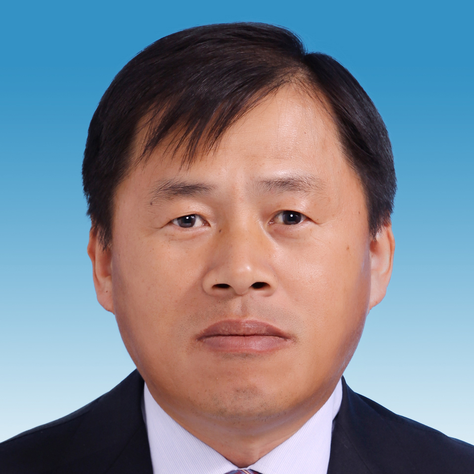 Xueyong  Li