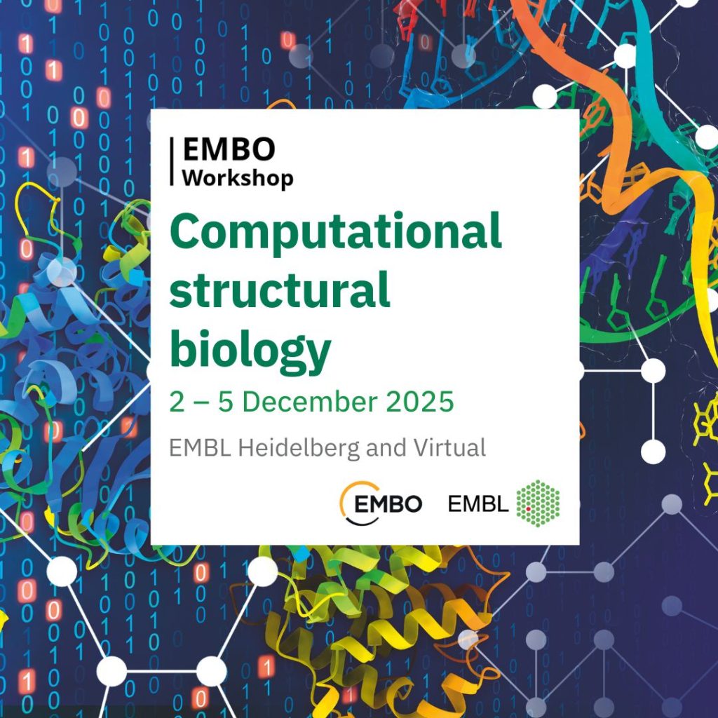 Computational structural biology