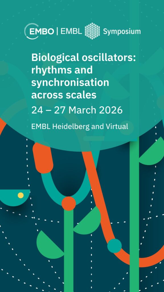 Biological oscillators: rhythms and synchronisation across scales