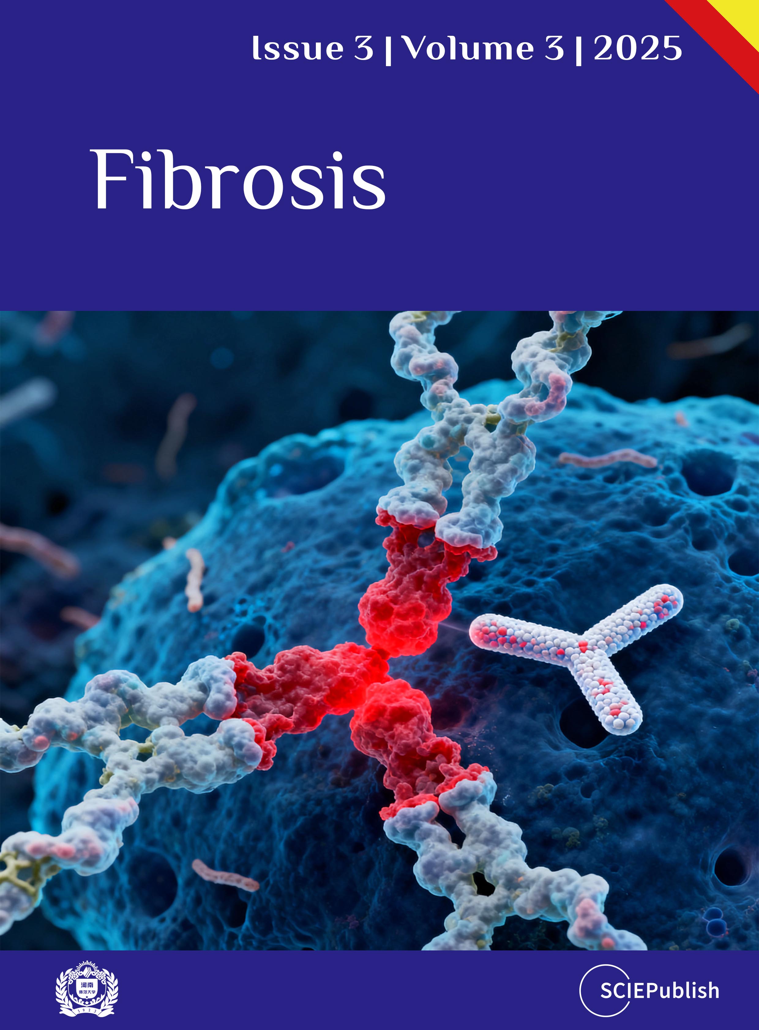 Issue 3, Volume 3