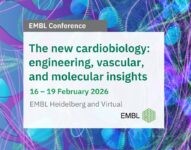 The New Cardiobiology: Engineering, Vascular, and Molecular Insights