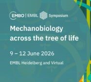 Mechanobiology across the Tree of Life