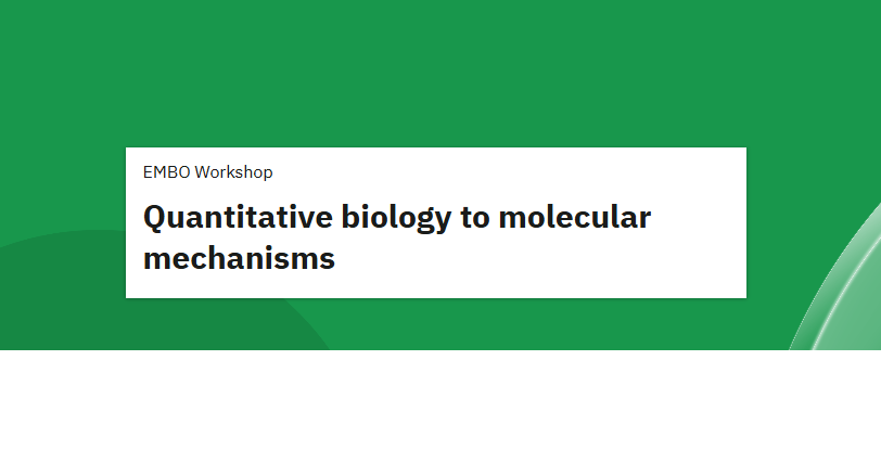 Quantitative Biology to Molecular Mechanisms