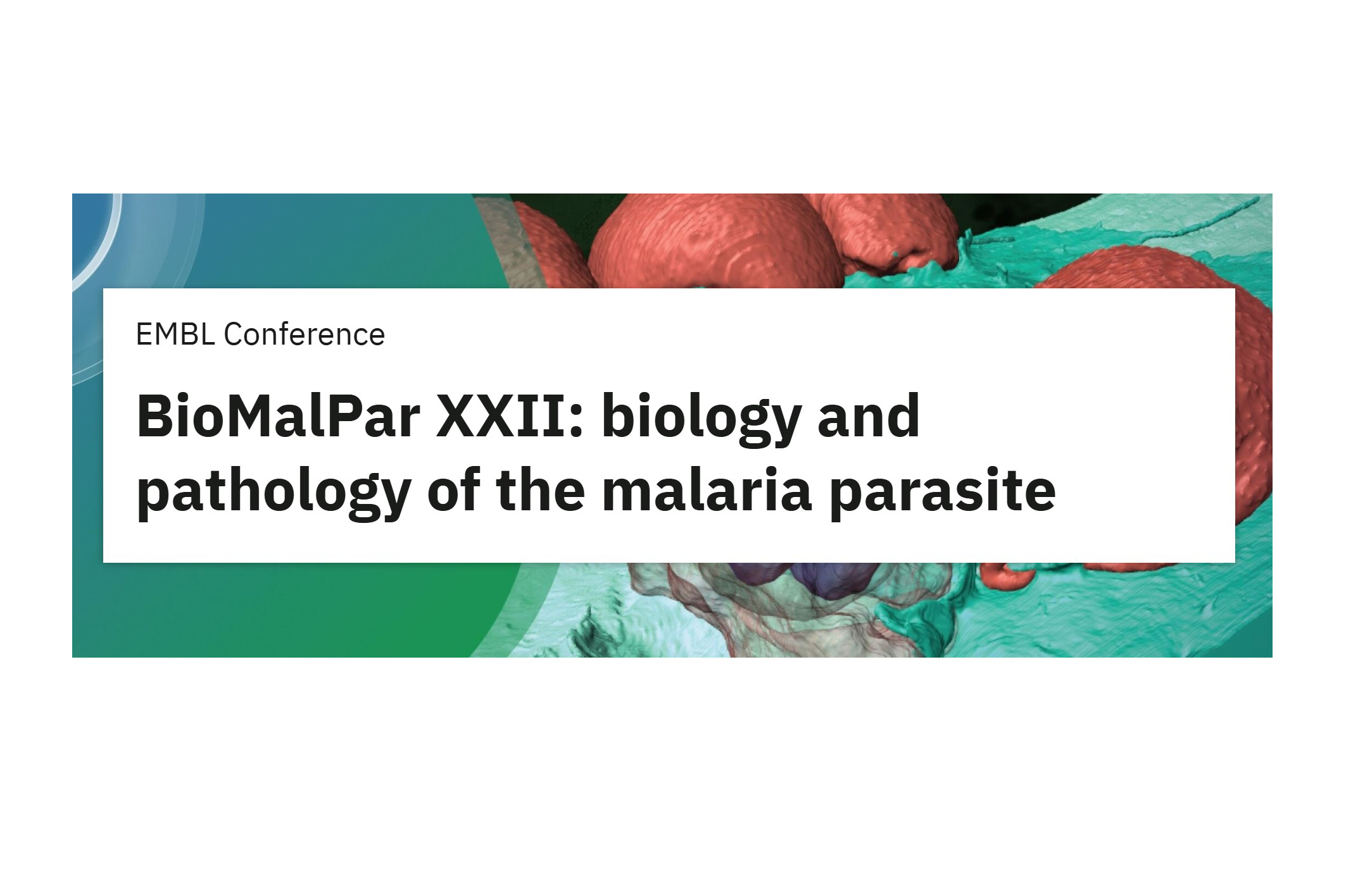 BioMalPar XXII: biology and pathology of the malaria parasite