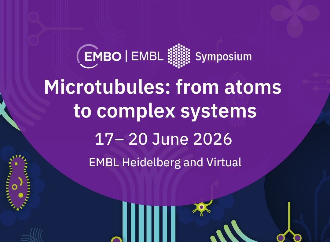 Microtubules: from atoms to complex systems