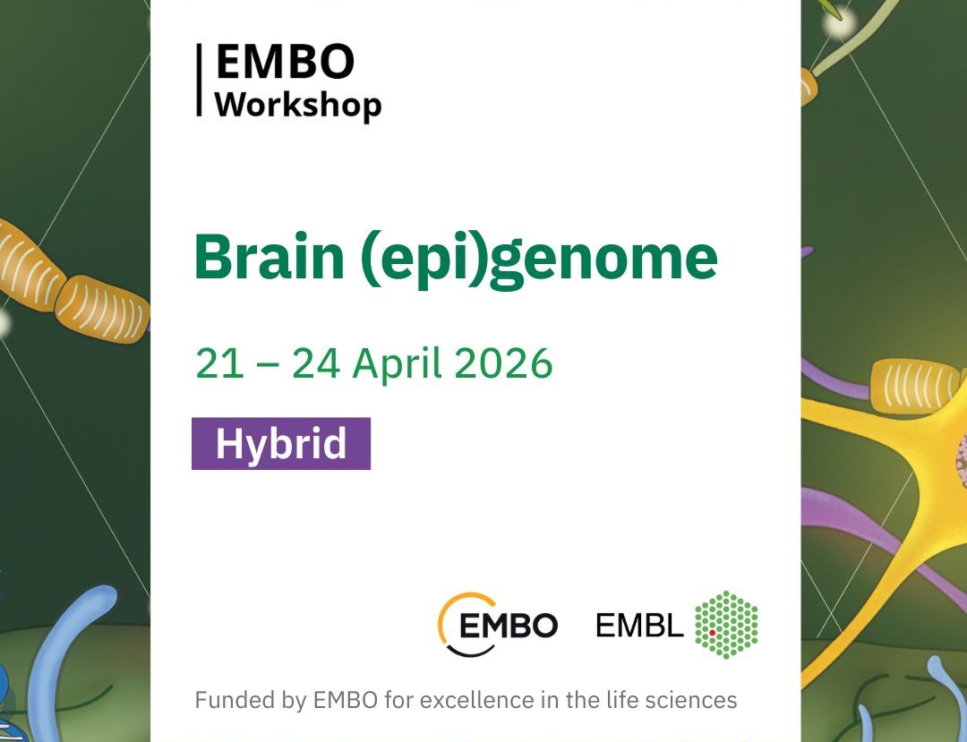 Brain (epi)genome