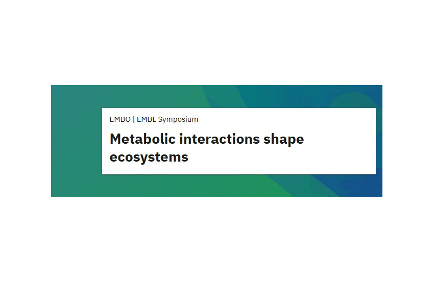 Metabolic interactions shape ecosystems
