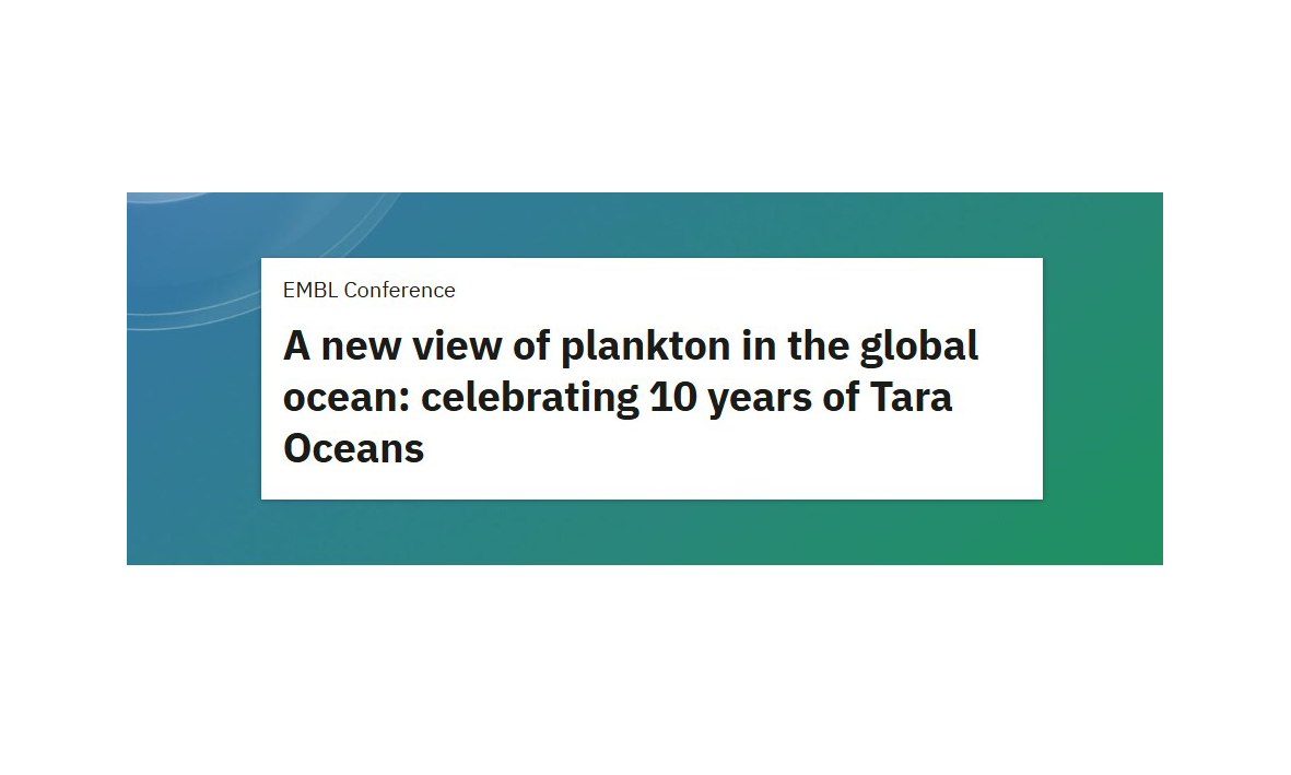 A new view of plankton in the global ocean: celebrating 10 years of Tara Oceans