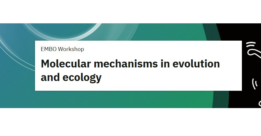 Molecular mechanisms in evolution and ecology