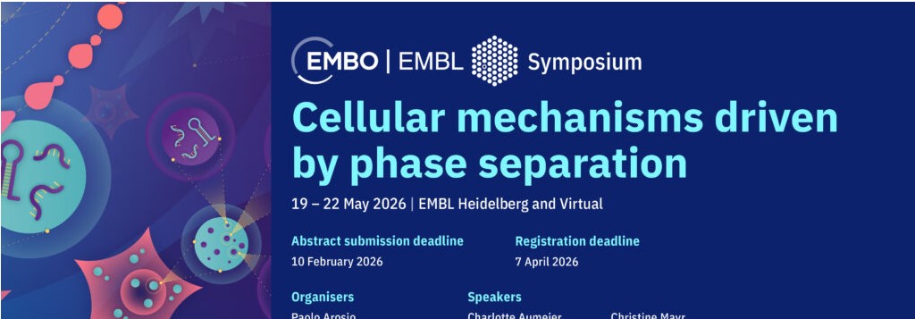 Cellular mechanisms driven by phase separation
