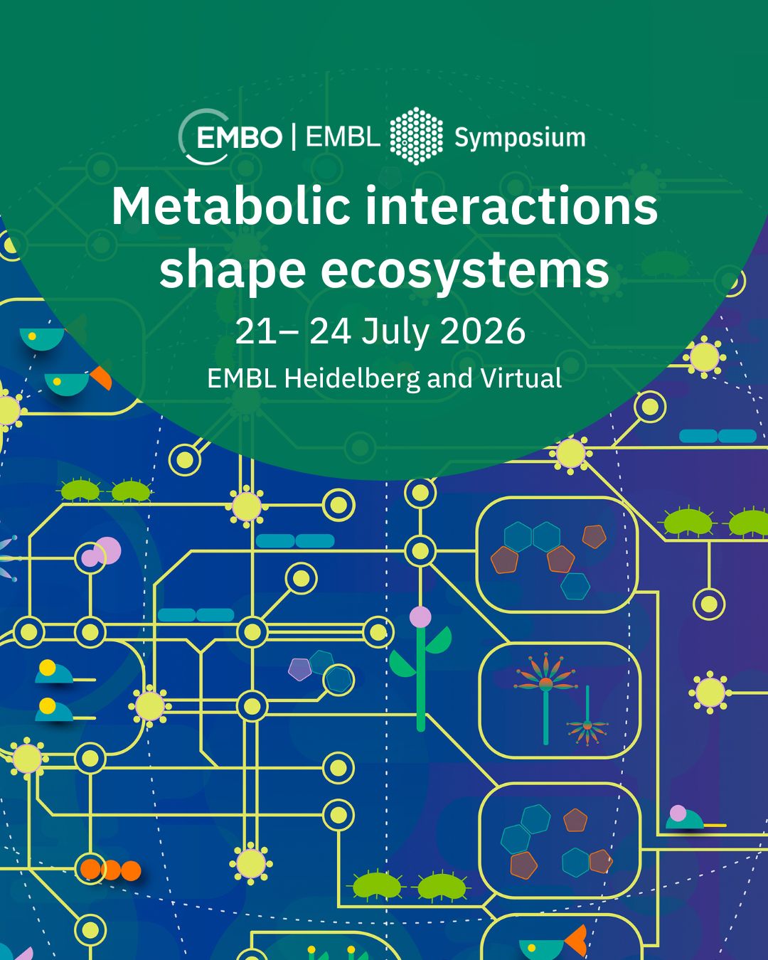 Metabolic interactions shape ecosystems