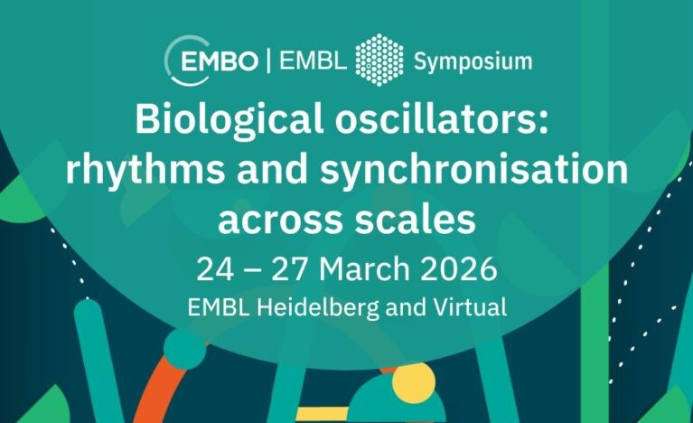 Biological oscillators: rhythms and synchronisation across scales