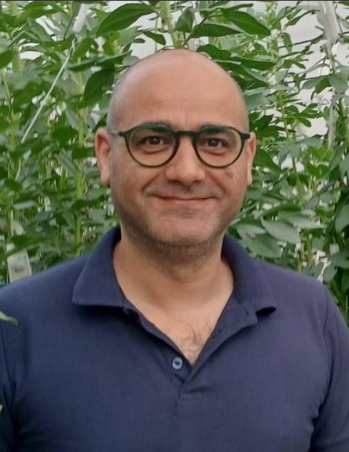 Hamid  Khazaei