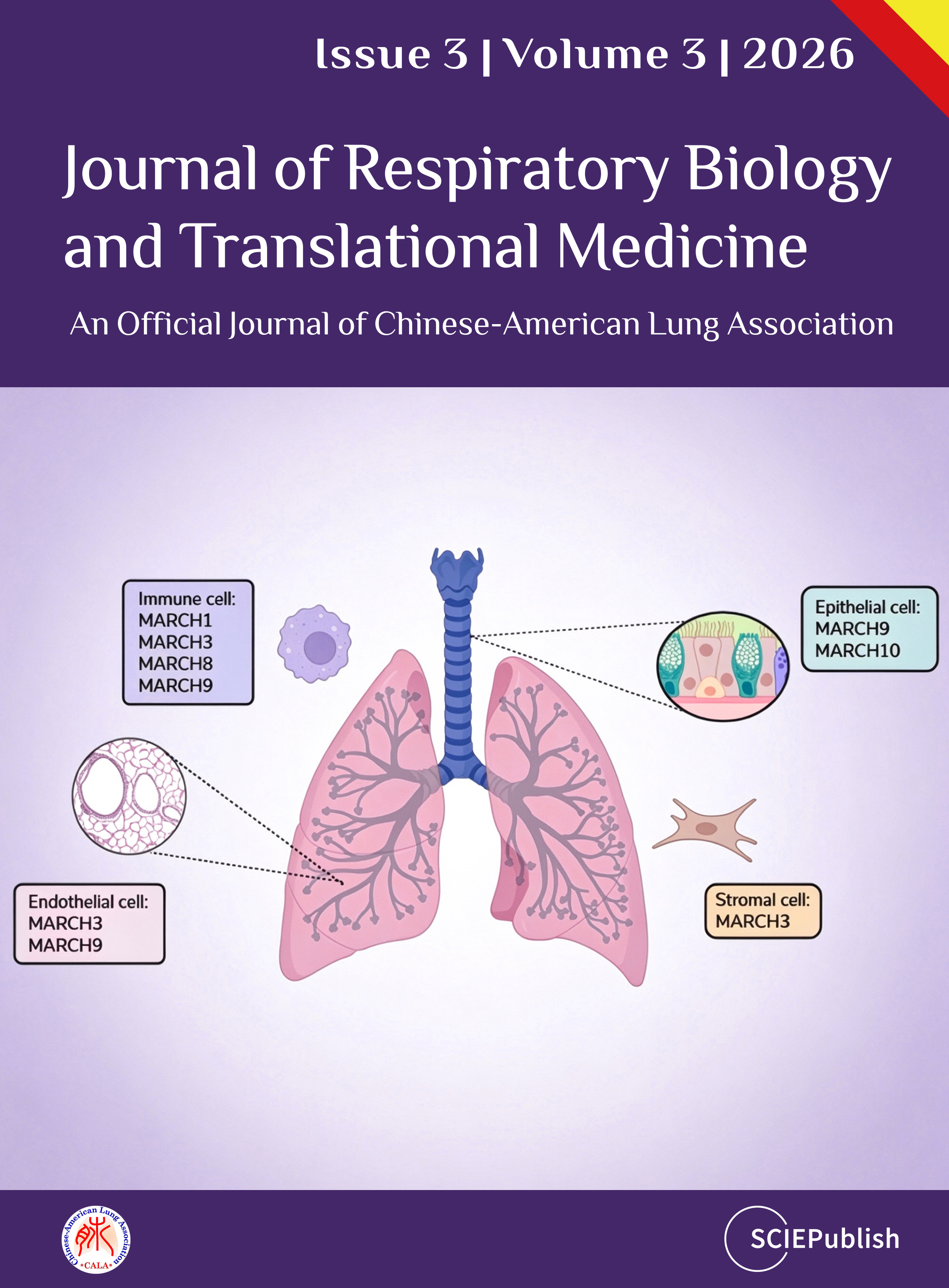 Issue 3, Volume 3