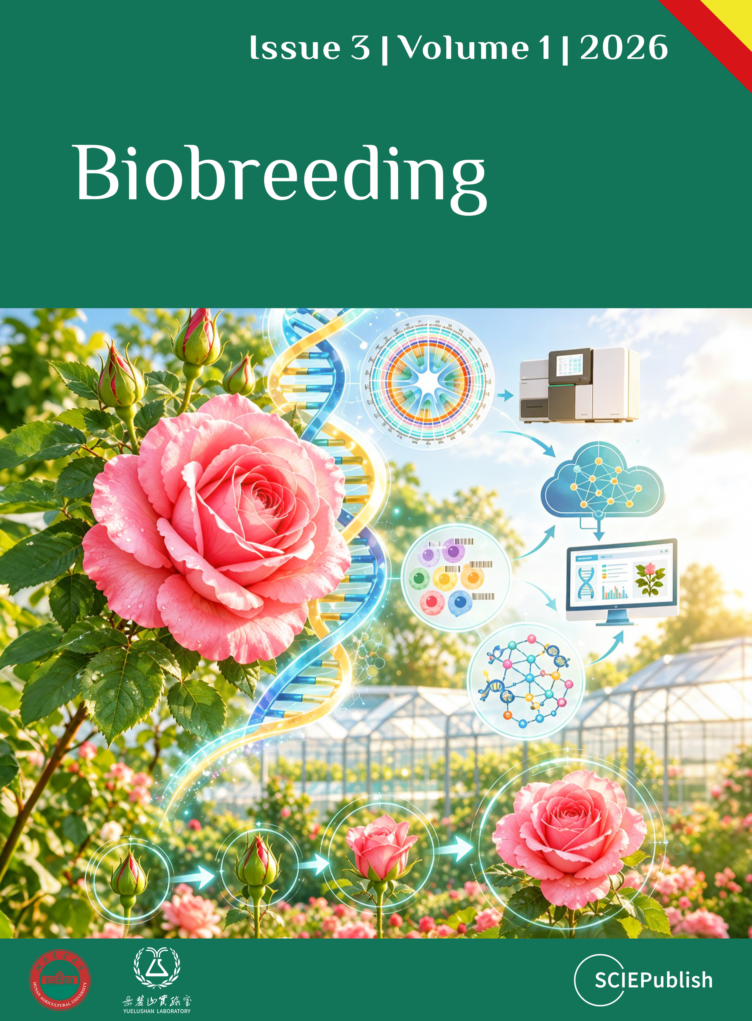 Issue Cover