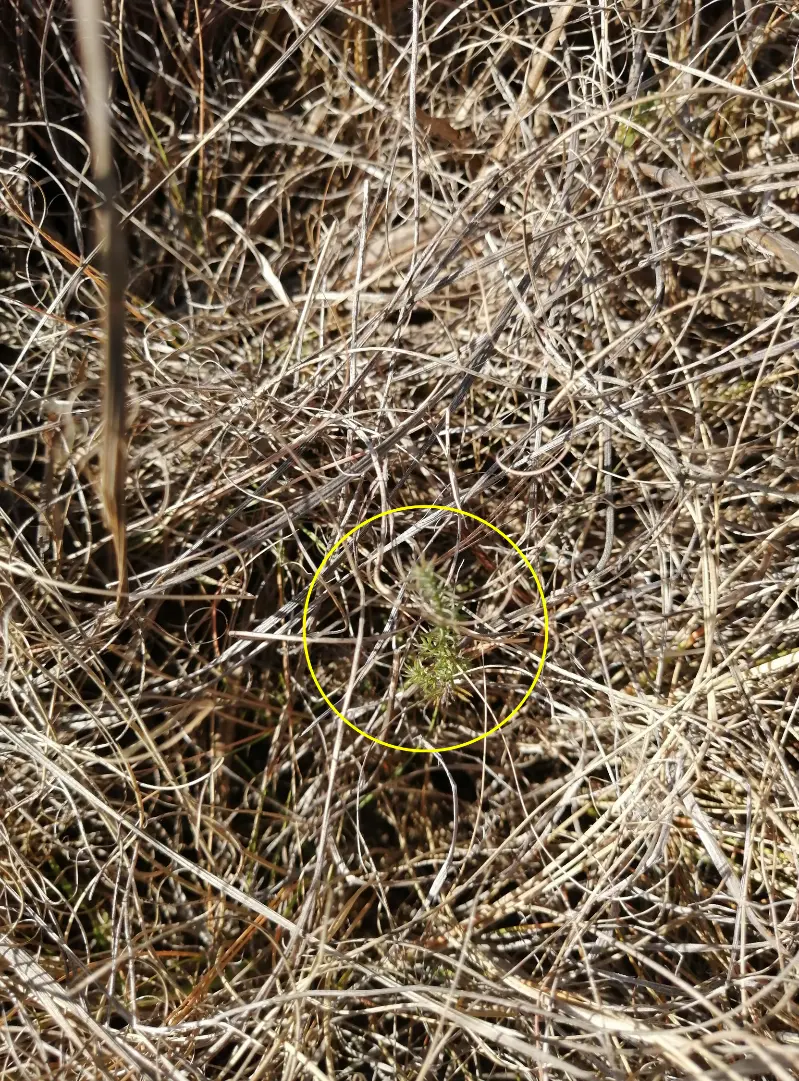 Figure_8_1