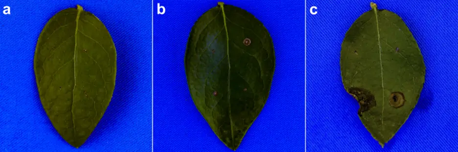 Figure_3_1