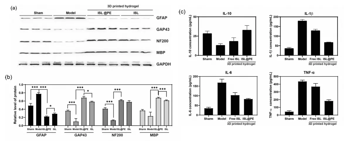 Figure_25_1