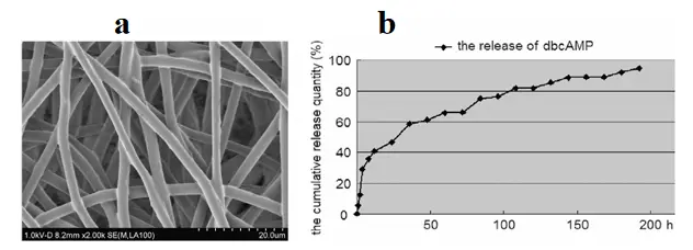 Figure_31_1
