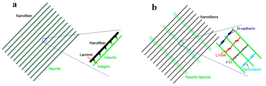 Figure_46_1