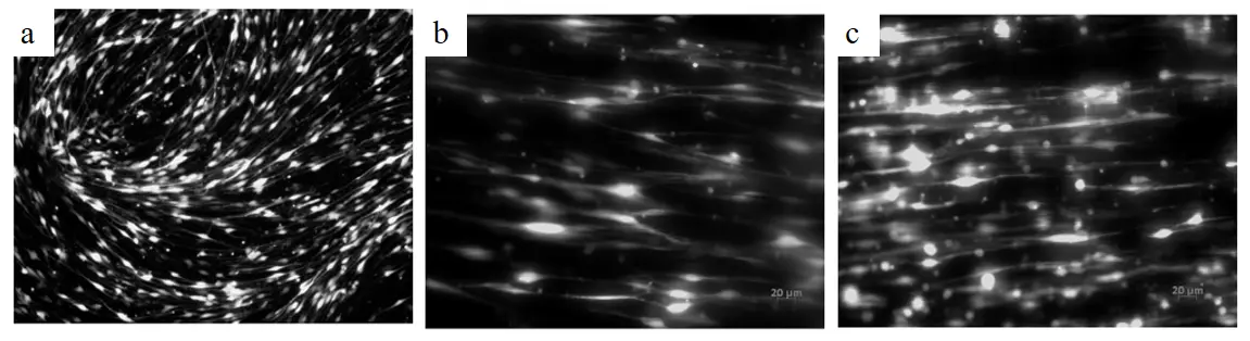Figure_58_1