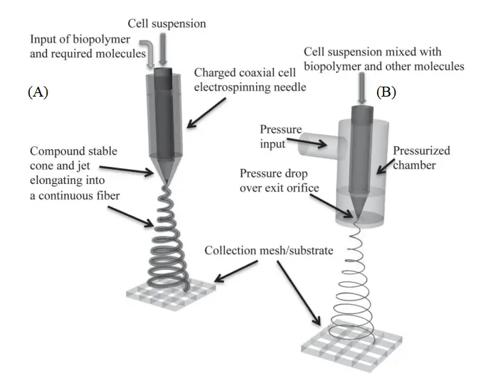 Figure_61_1