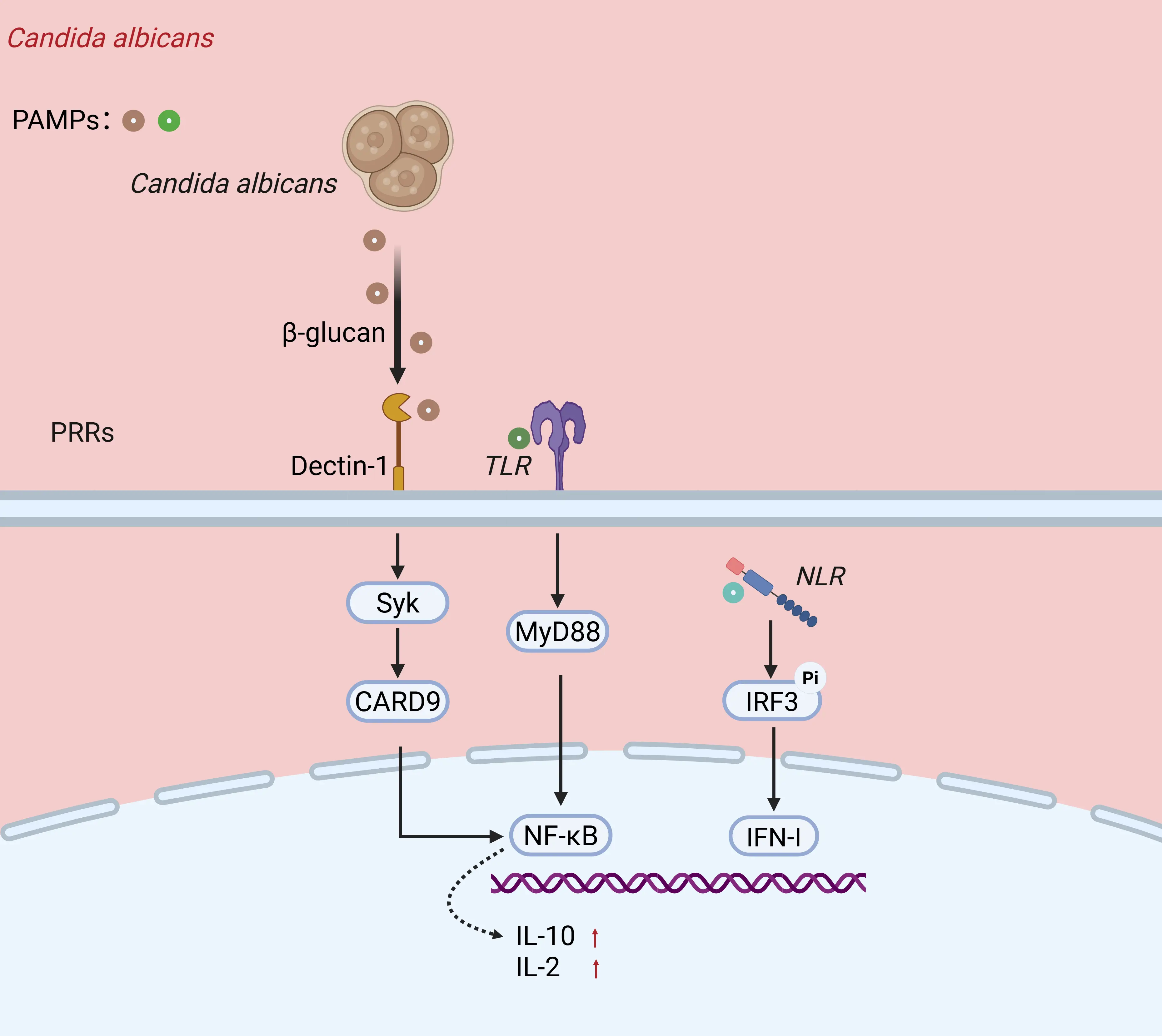 Figure_3_1