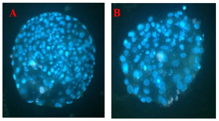 Figure_3_1
