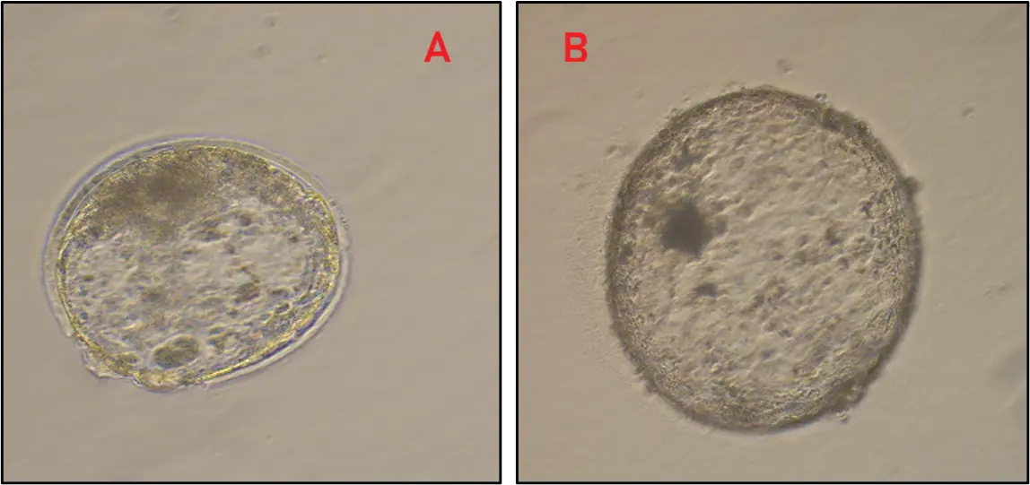 Figure_4_1