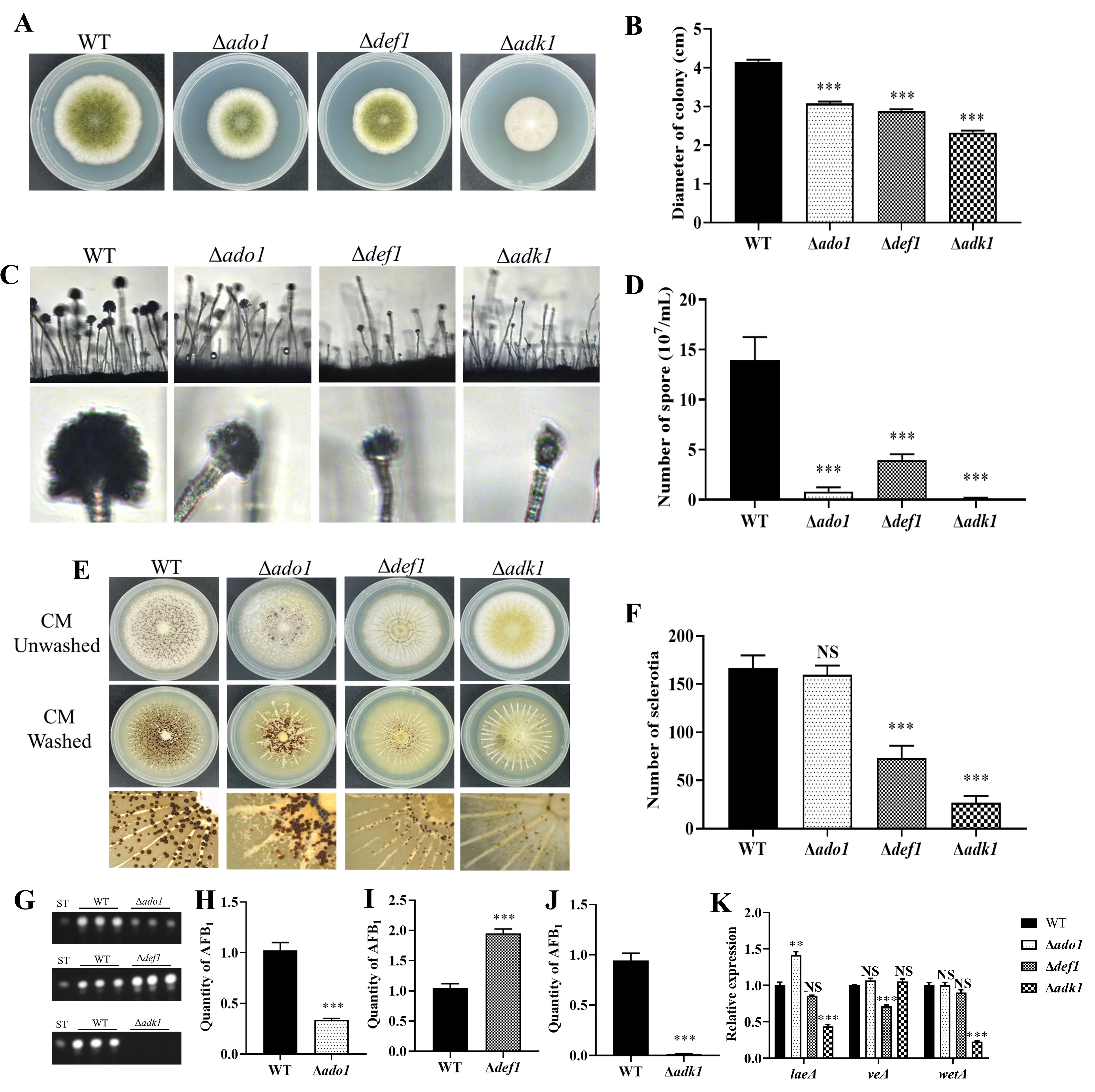 Figure_4_1