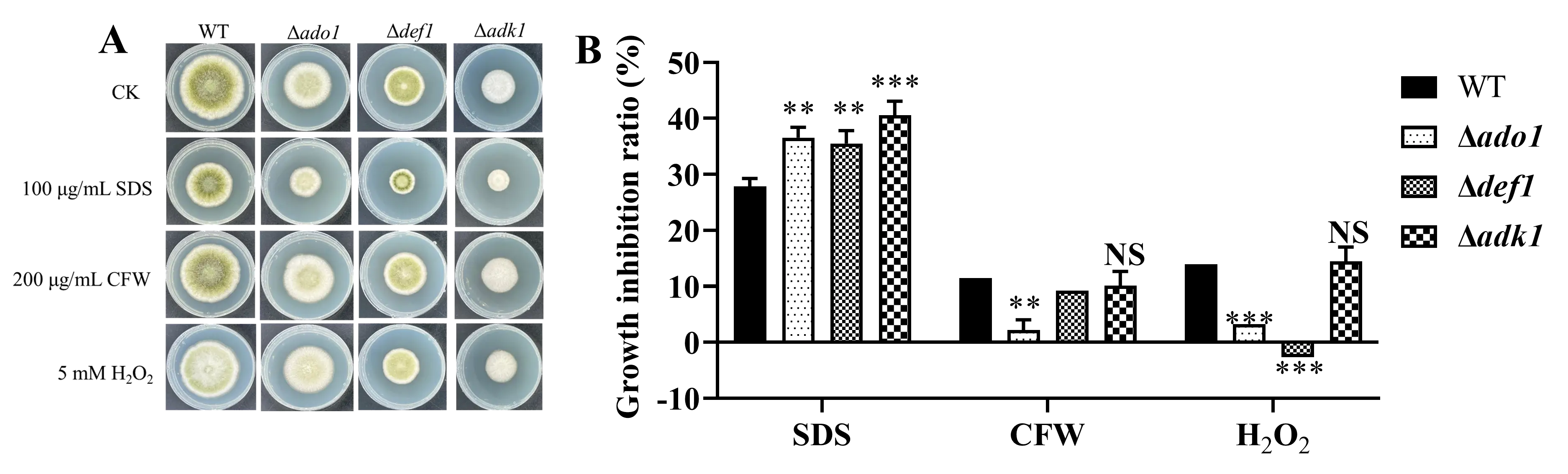 Figure_5_1