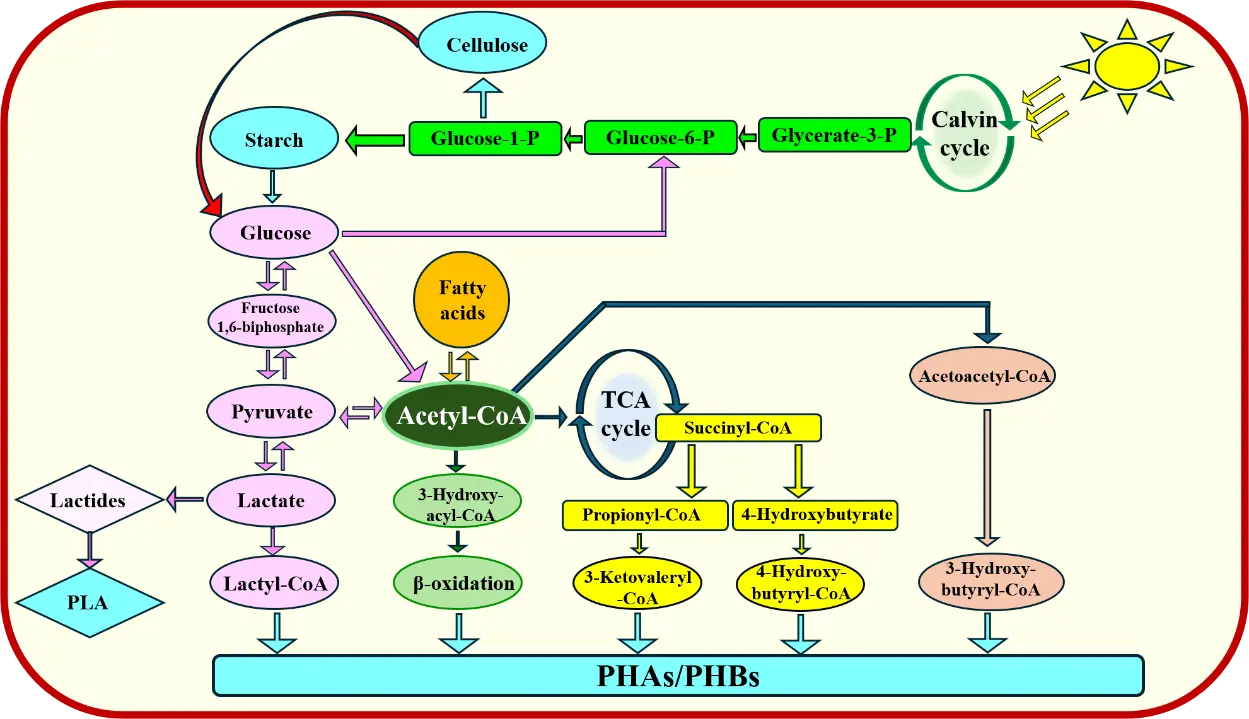 Figure_3_1