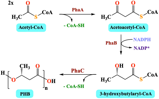 Scheme_2_1