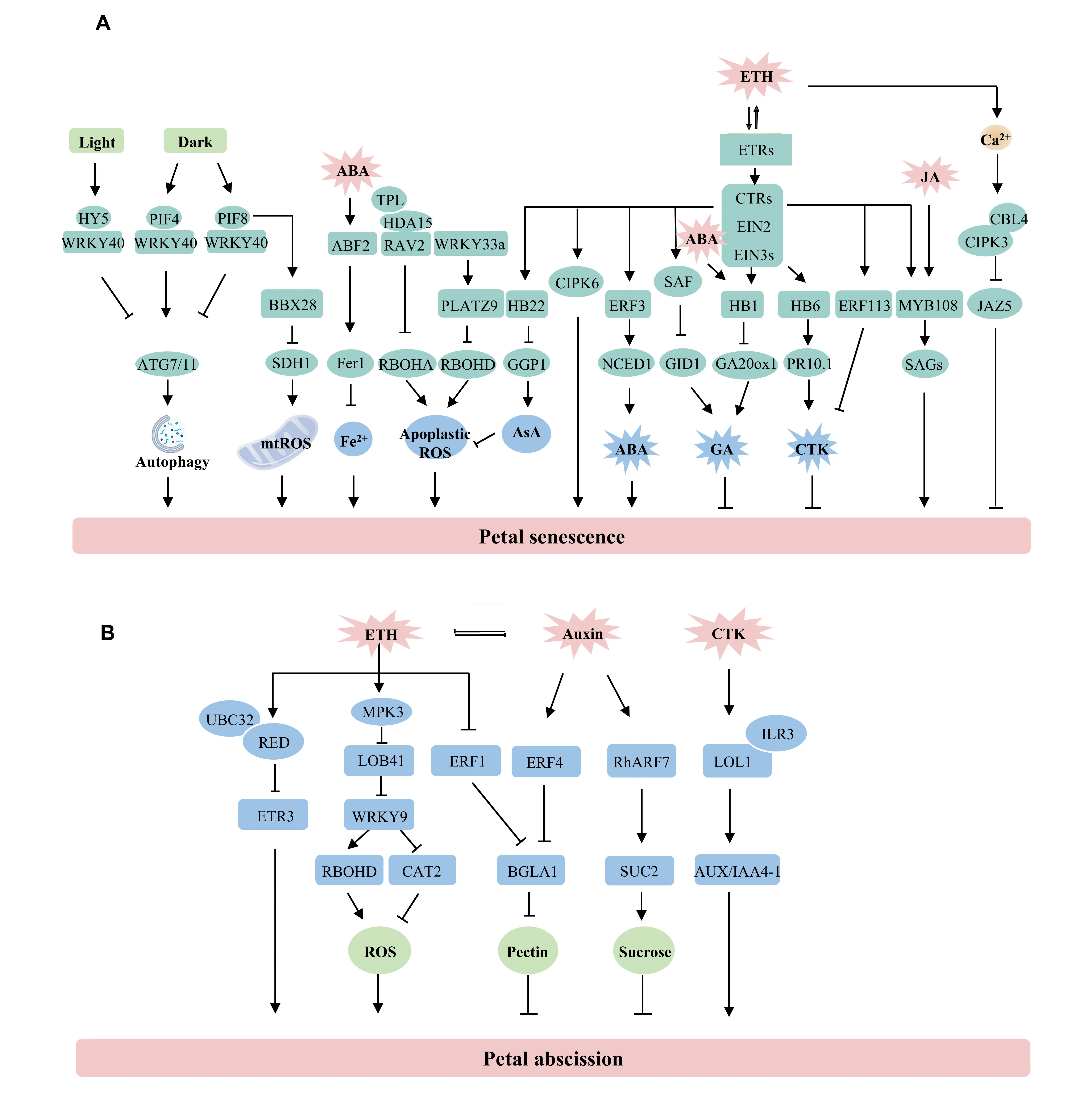 Figure_2_1