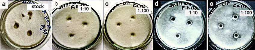 Figure_17_1