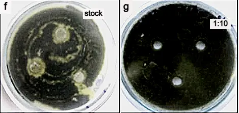 Figure_17_2