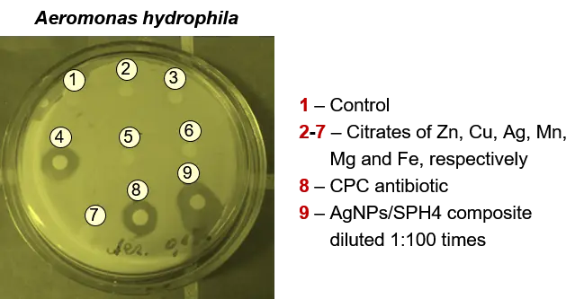 Figure_21_1