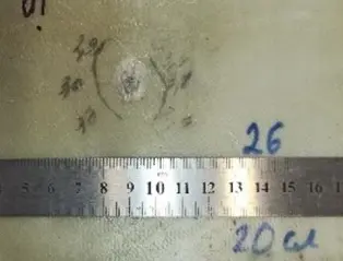 Figure_1_1