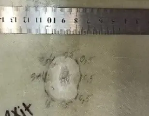 Figure_1_2