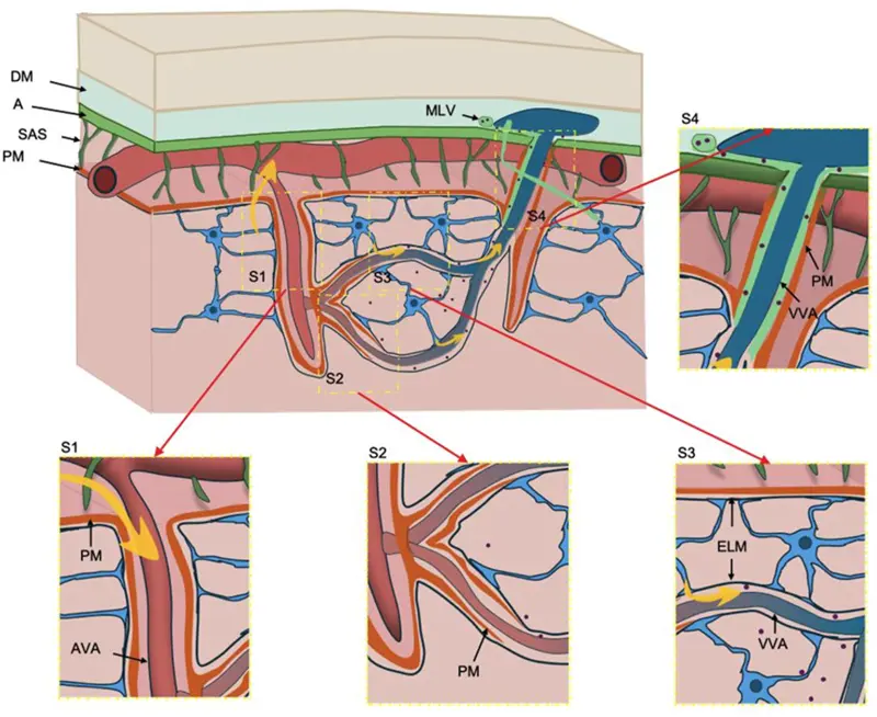 Figure_1_1
