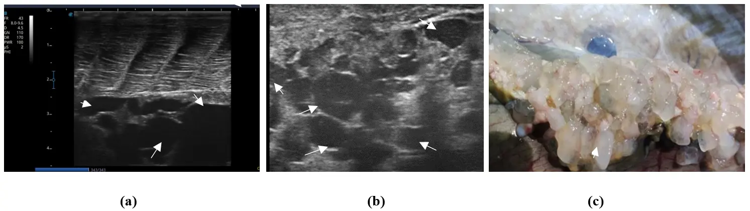 Figure_11_1