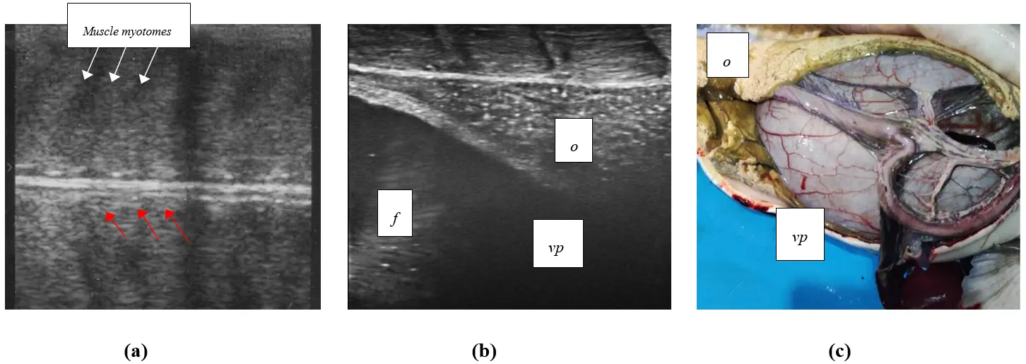 Figure_17_1