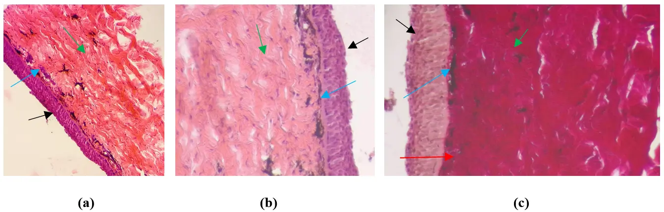 Figure_20_1