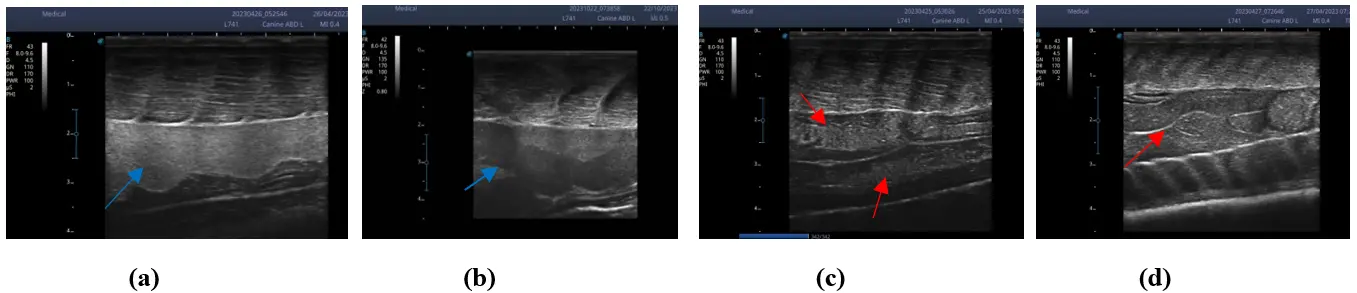 Figure_6_1