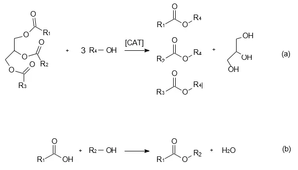 Figure_1_1