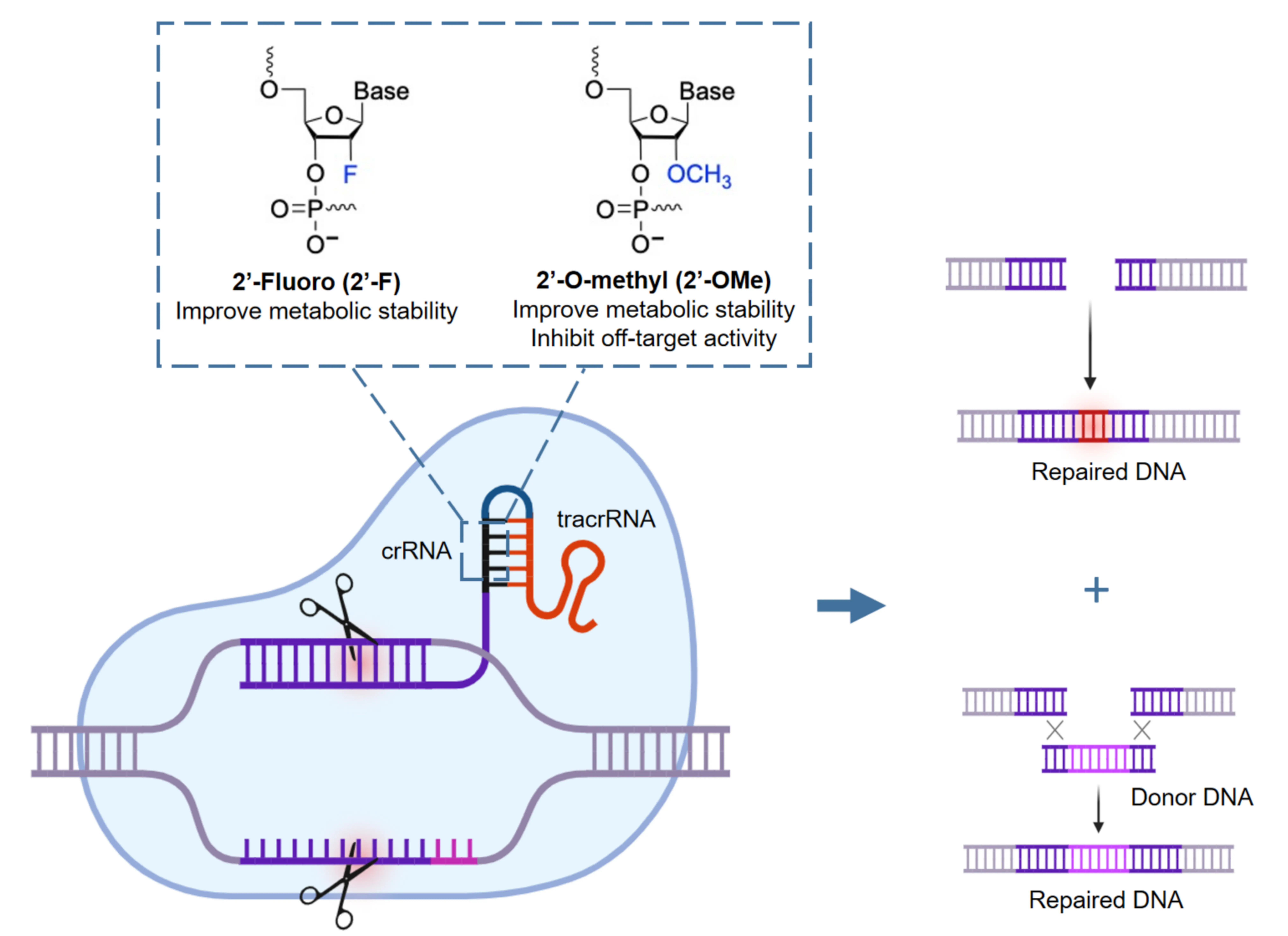 Figure_6_1